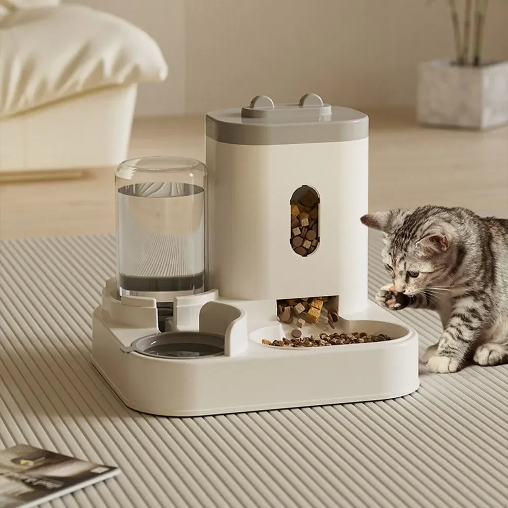 Distributeur automatique d'alimentation et d'eau pour chat